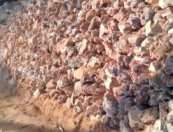 Proyek TPT Di Desa Tamba Agung Barat Diduga Korupsi, Kades Memilih Bohong Saat Dikonfirmasi