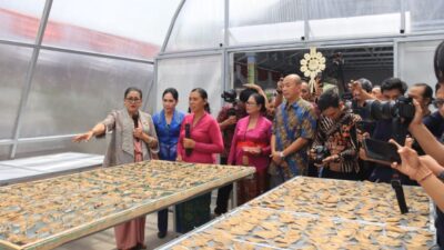 Kawasan Produksi Kelompok Wanita Tani (KWT) Bedetan Perancak Diresmikan