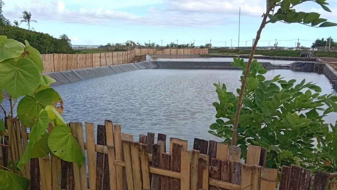 Prajuru Desa Adat Yehembang Cek Aset di Pesisir Pantai, Temukan Dugaan Tambak Udang Caplok Tanah Negara dan Sungai