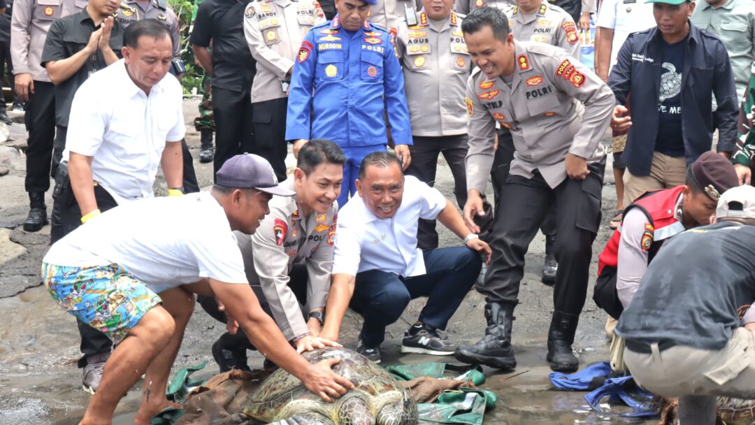 Bupati Tamba Dampingi Kapolda Bali Lepasliarkan Penyu Dukung Pelestarian Satwa Laut Di Pantai Perancak