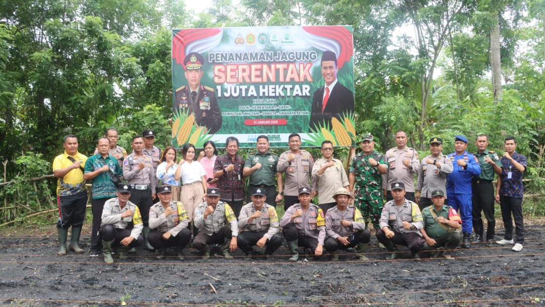 Dukung Swasembada Pangan Nasional, Penanaman Jagung Serentak Dilaksanakan Di Tegalbadeng Barat