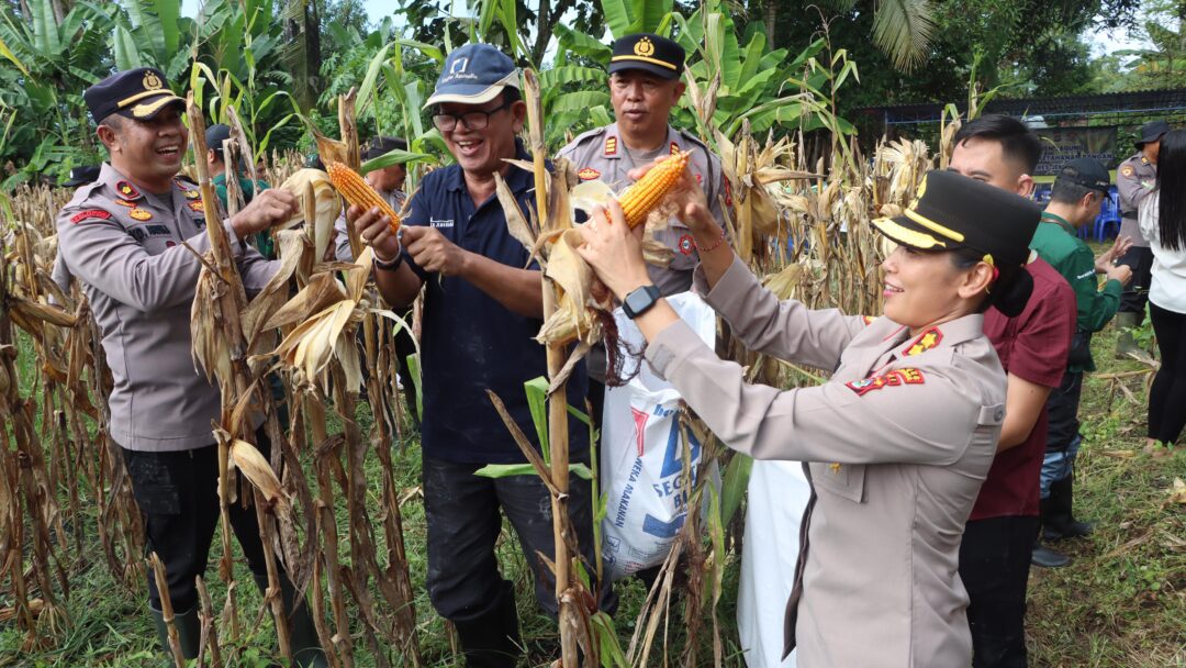 Kapolres Jembrana Hadiri Panen Jagung Dukung Swasembada Pangan 2025