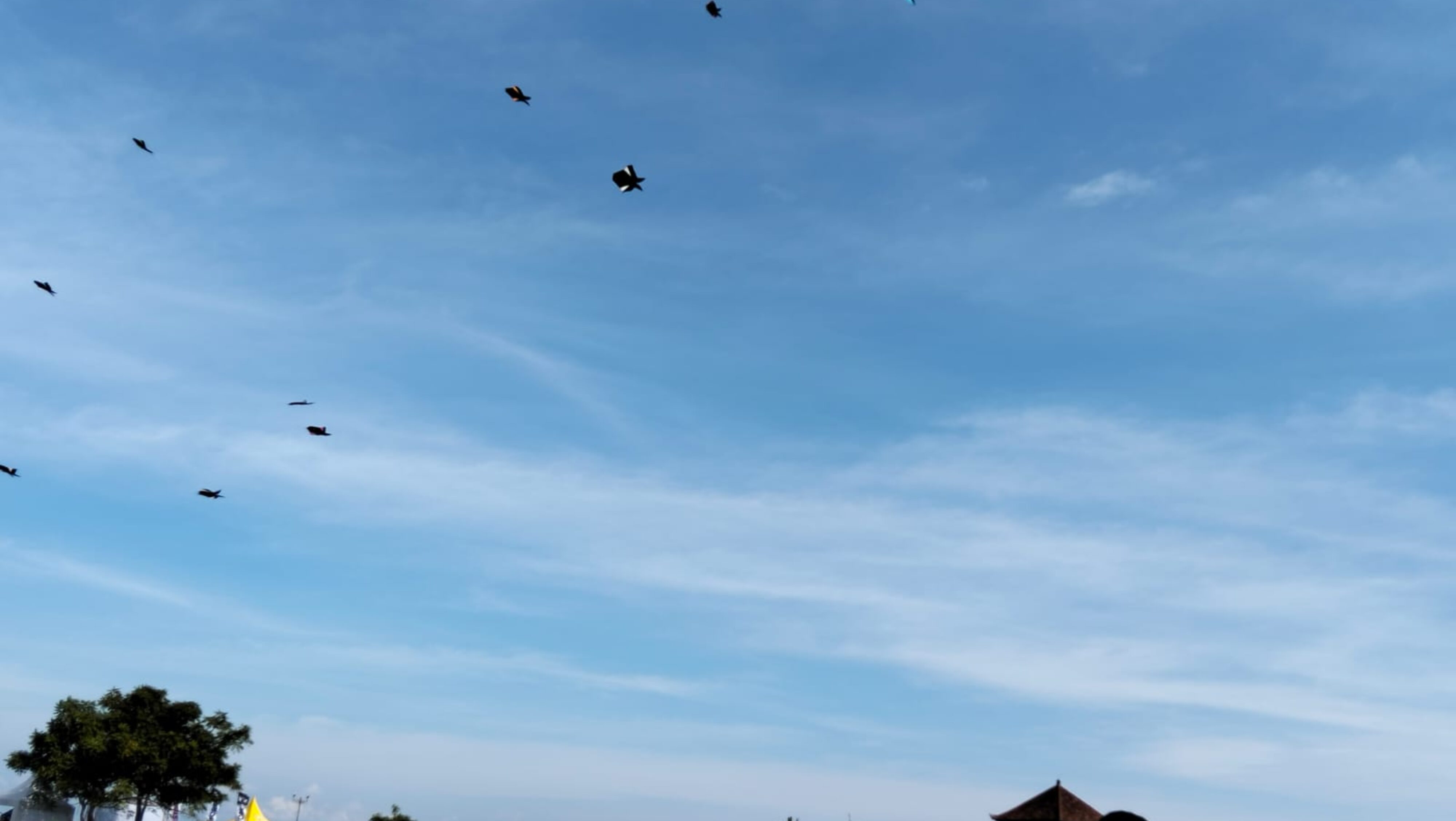 Polres Jembrana Laksanakan Pengamanan Kegiatan Damuh Langit Kite Festival #2 Di Pengambengan