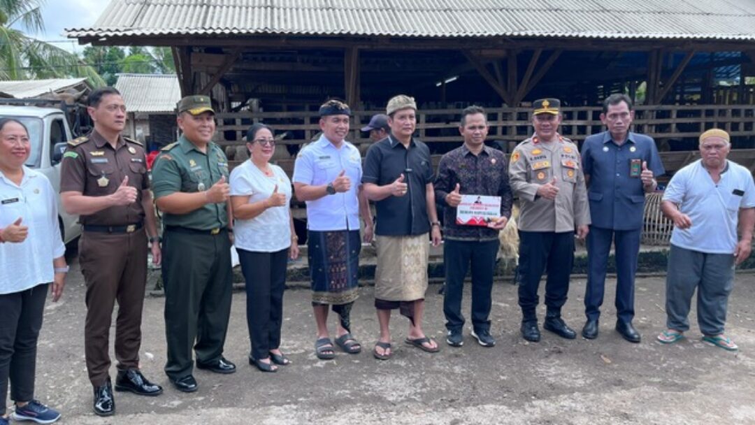 Bupati Kembang Serahkan Sapi Kurban Dari Presiden RI Untuk Warga Jembrana
