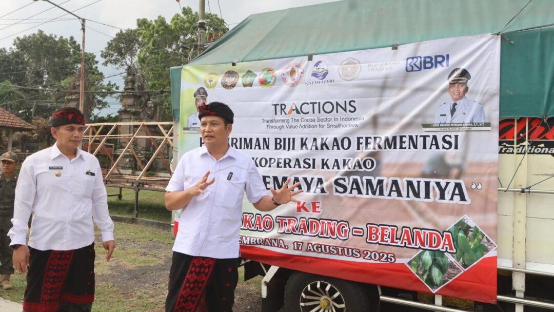 Momentum Hari Kemerdekaan, Jembrana Ekspor Kakao Ke Belanda